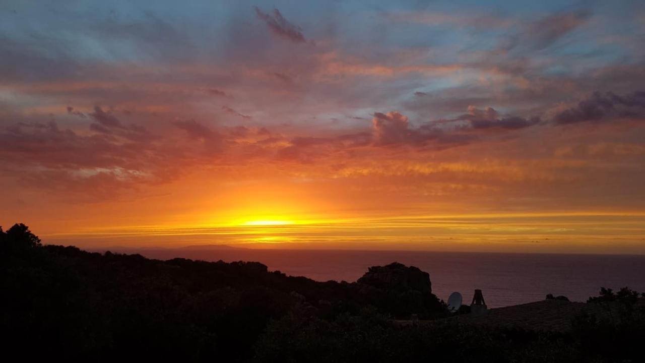 Villa Unica - Appartamenti Alba E Tramonto Isola Rossa  Exterior foto