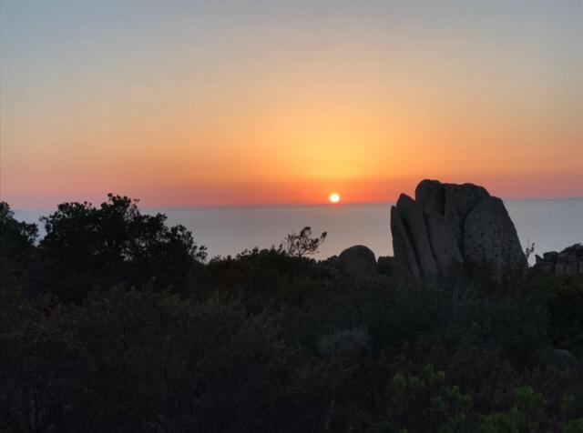 Villa Unica - Appartamenti Alba E Tramonto Isola Rossa  Exterior foto